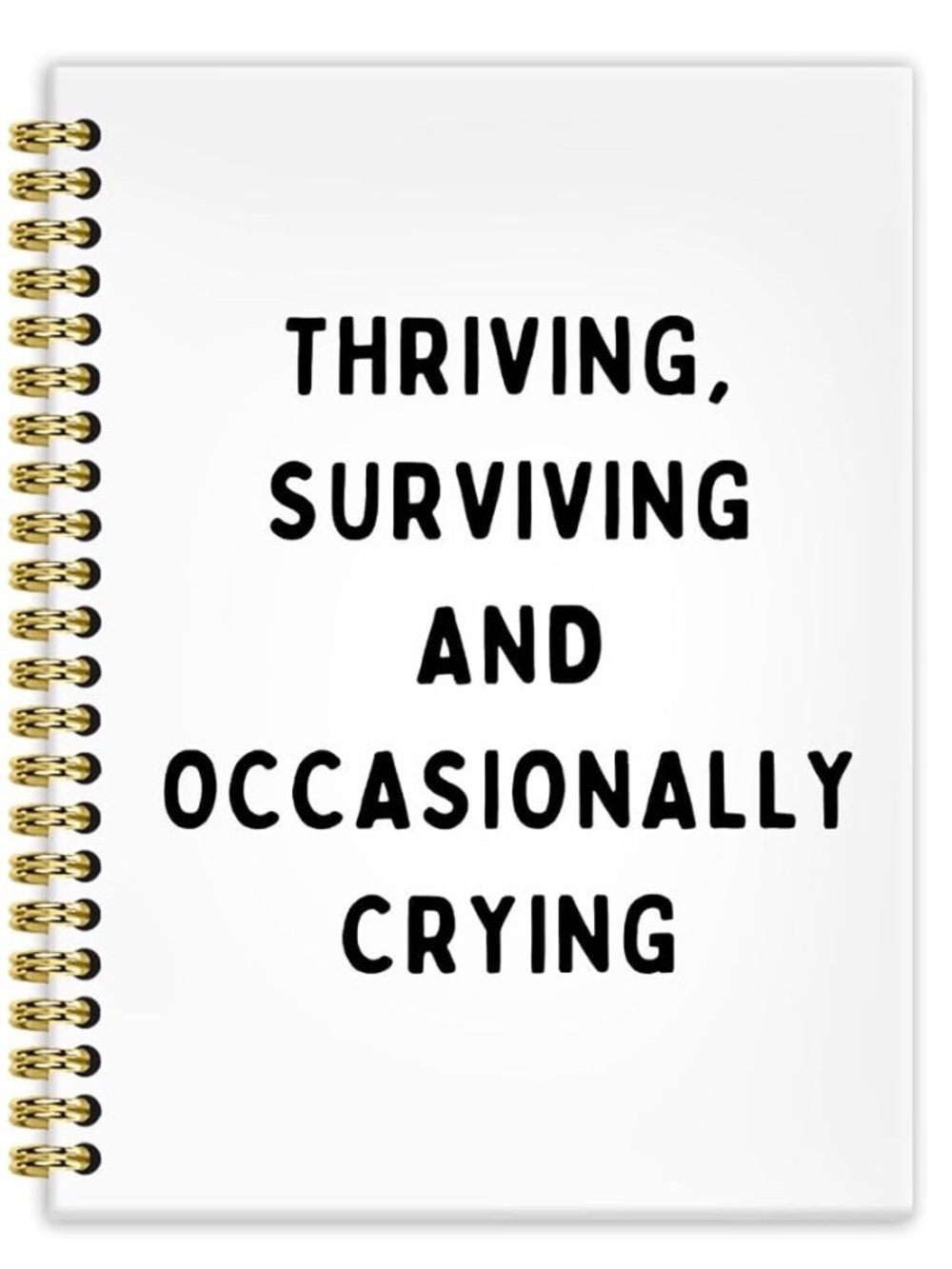 Spiral Notebook Journal